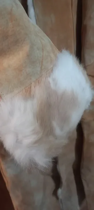 Pelliccia Pera Pelle Beige/Bianca Donna