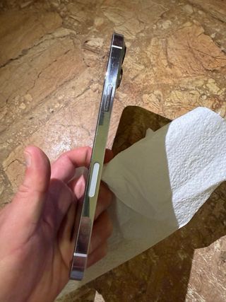 iPhone 13 Pro Max 256GB Argento