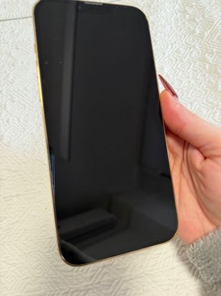 iPhone 13 Pro Max 256GB Oro