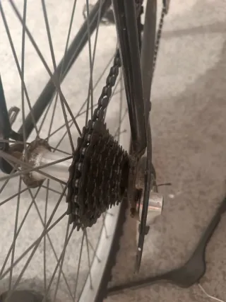 Bicicleta Montaña BH 200