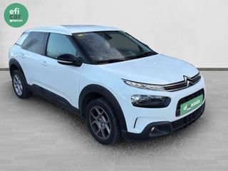 C4 Cactus BlueHDi 100 SS Feel