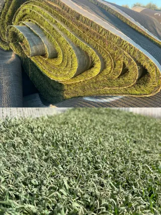 Venta de césped artificial