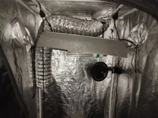 Kit completo cultivo interior