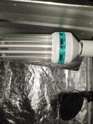 Kit completo cultivo interior