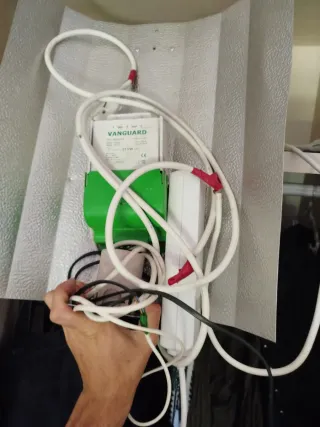 Kit completo cultivo interior