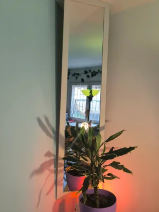 Espejo Marco Madera Blanco 158x38cm