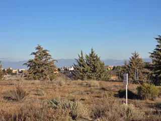 Parcelas de 500 m2 en Otura desde 50.000 €