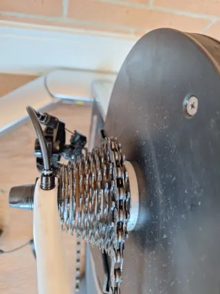 Rodillo de entrenamiento Technogym