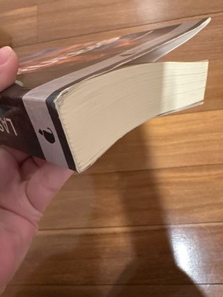 El corredor del laberinto