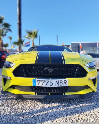 Ford Mustang 2021.TLF;622720125