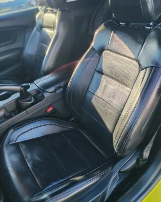 Ford Mustang 2021.TLF;622720125