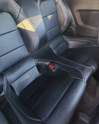 Ford Mustang 2021.TLF;622720125