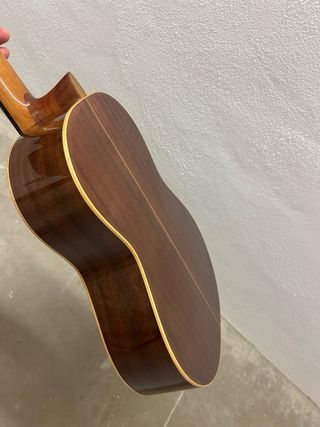 Guitarra Española Raimundo 1492 cadete