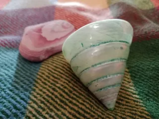 Caracola Pirámide Nacarada