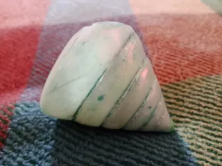 Caracola Pirámide Nacarada