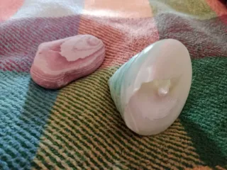 Caracola Pirámide Nacarada