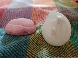 Caracola Pirámide Nacarada