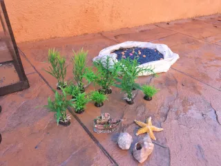 Pecera 60-70L con accesorios