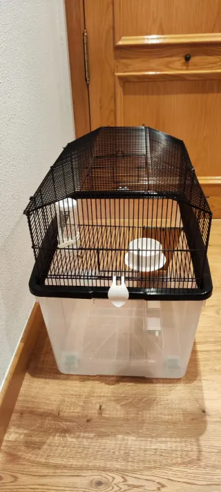 Jaula para hámster negra y transparente