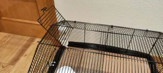 Jaula para hámster negra y transparente