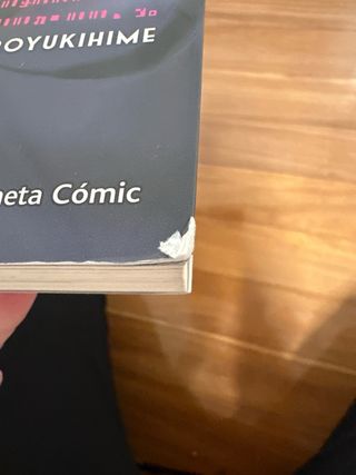 Accel World nº 01 (novela): El retorno de Kuroy...