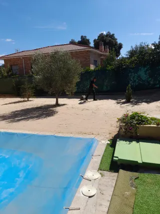 Césped artificial decorativo