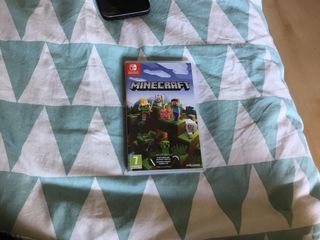 Minecraft Nintendo Switch