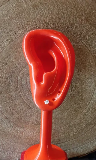 Pendientes de Plata de Ley