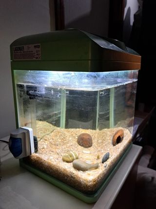 Acquario Amtra Laguna 30 LED Verde - no spedizione