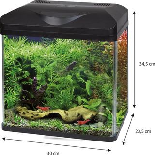 Acquario Amtra Laguna 30 LED Verde - no spedizione