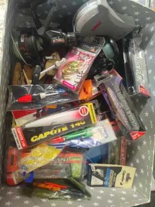 Cañas de pesca y aparejos