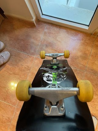 Skate Powell Peralta