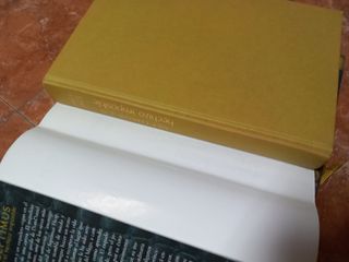 Septimus y el hechizo imposible