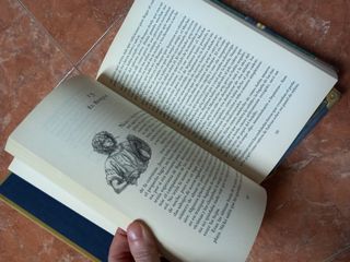 Septimus y el hechizo imposible