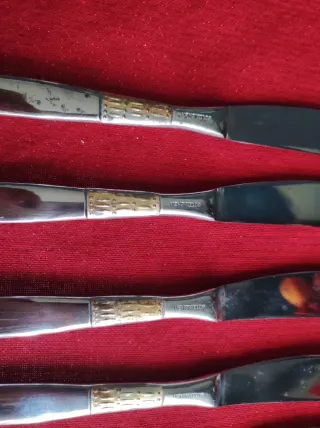 Set 11 Coltelli Acciaio 18/10 Dorato Argentato.