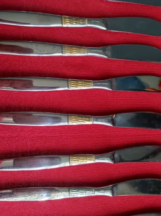 Set 11 Coltelli Acciaio 18/10 Dorato Argentato.