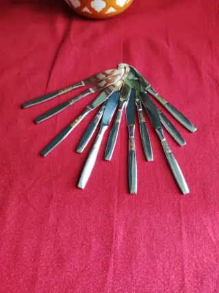 Set 11 Coltelli Acciaio 18/10 Dorato Argentato.