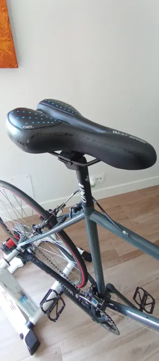 Bicicleta con rodillo