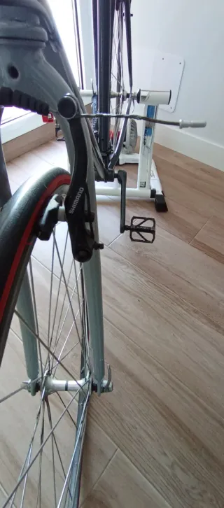 Bicicleta con rodillo