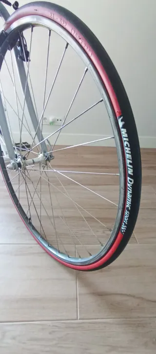 Bicicleta con rodillo