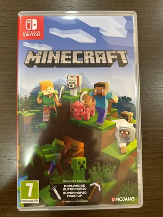 Minecraft Nintendo Switch
