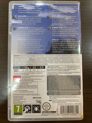 Minecraft Nintendo Switch