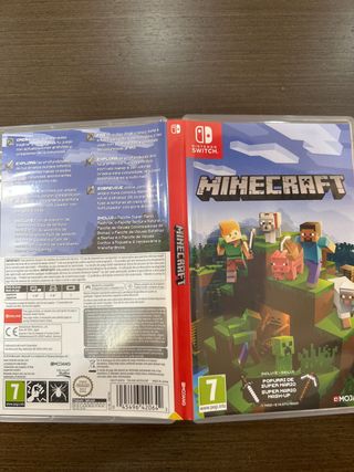 Minecraft Nintendo Switch