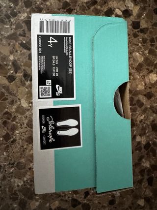 Zapatillas Nike SB Alleyoop