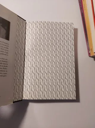 Demasiada felicidad (Spanish Edition)