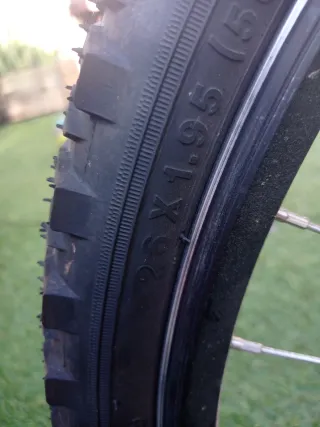 Bicicleta BTT Verde. Atala/Panter