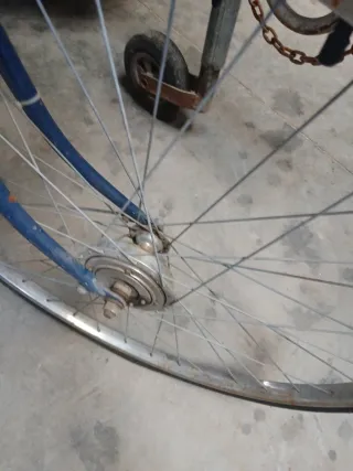 Bicicleta Wayfarer Azul