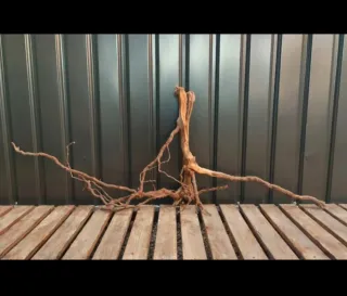 Raíz/tronco Decoración acuario OFERTA SOLO HOY!