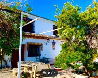 OLIVAR 3.400 olivos REGADIO con caserio.