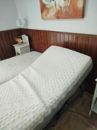 Cama articulada eléctrica